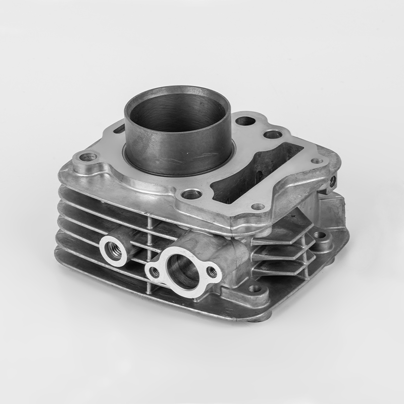 TVS110 (Φ53,5) TVS yüksek performanslı motor